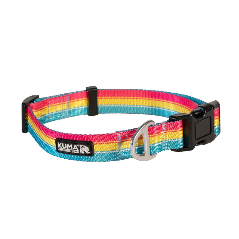 Backtrack Dog Collar-2