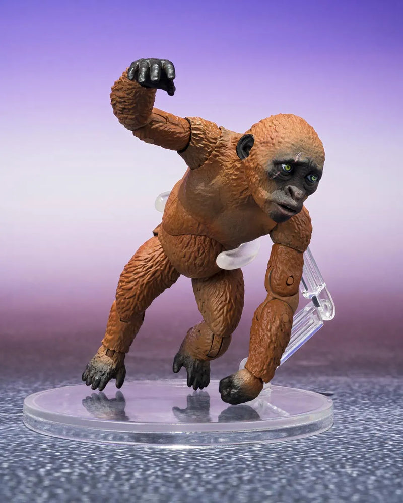 Godzilla x Kong: The New Empire S.H.MonsterArts - Suko & Mothra-4