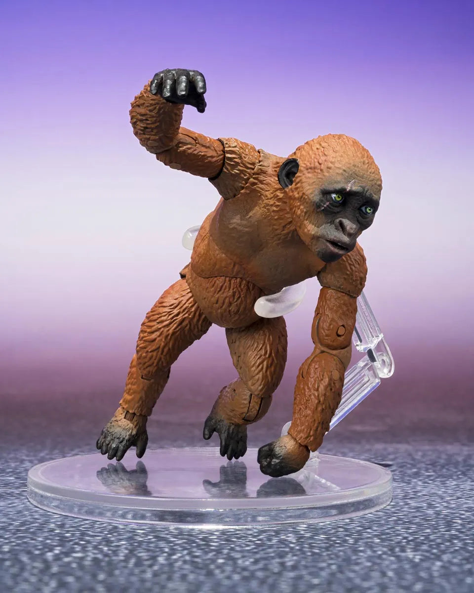 Godzilla x Kong: The New Empire S.H.MonsterArts - Suko & Mothra-4