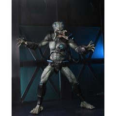 Predator - Concrete Jungle Ultimate Stone Heart-6