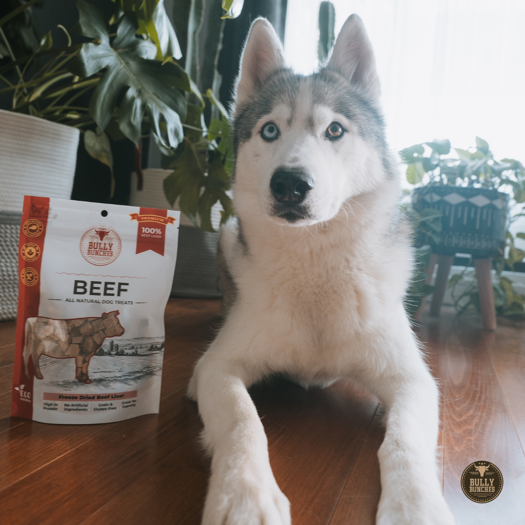 Freeze Dried Beef Liver 100g / 3.5oz-7