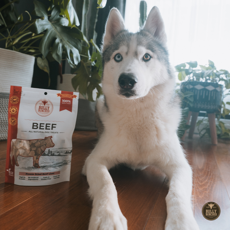 Freeze Dried Beef Liver 100g / 3.5oz-7