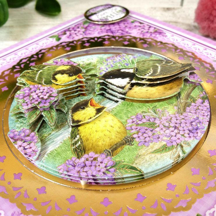 Delightful Birds - A New Season Decoupage Card Kit-5