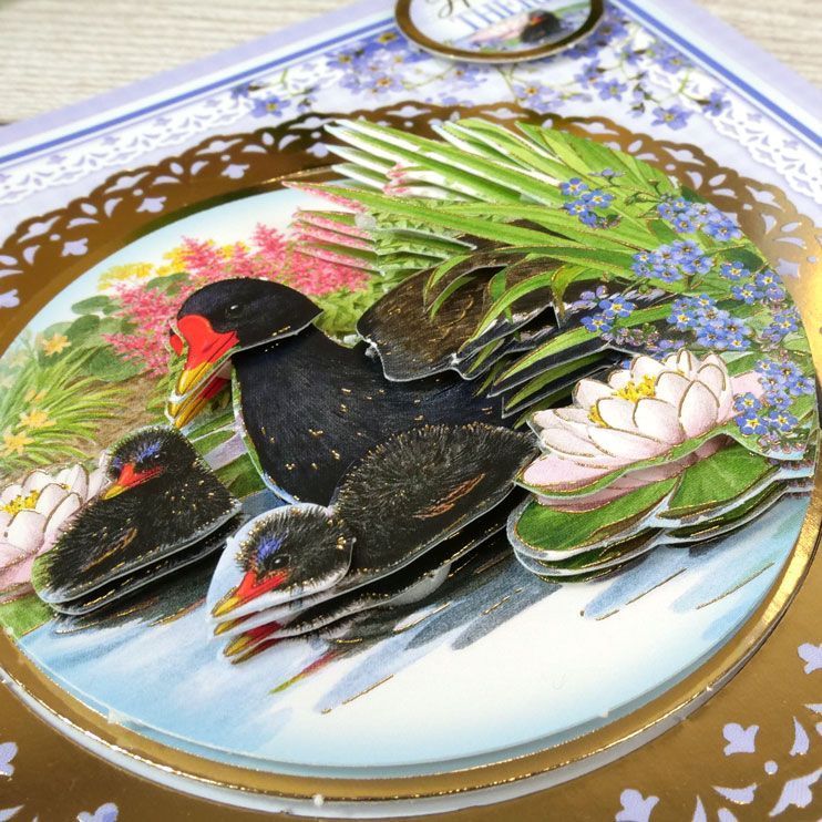 Delightful Birds - A New Season Decoupage Card Kit-8