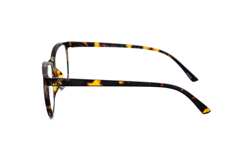 Boléro Amaris — Cat-Eye Reading Glasses-9