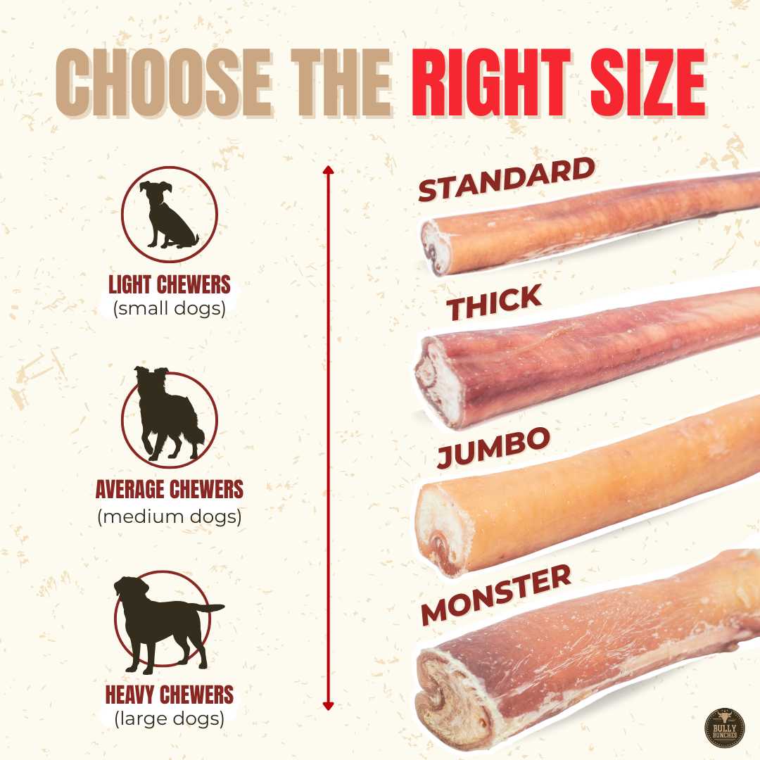 12 Inch Monster Bully Stick-5