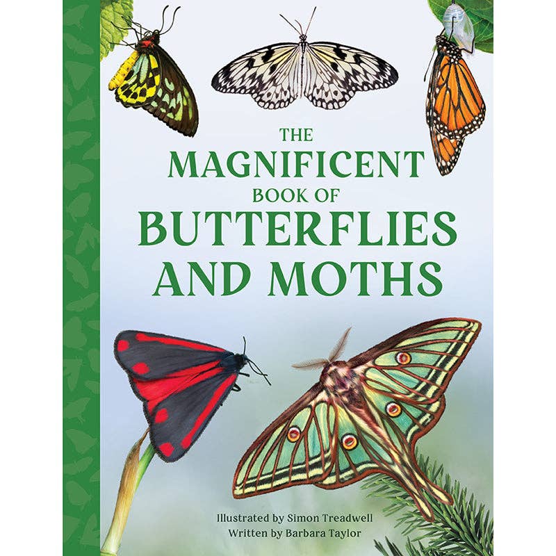 Insight Editions - The Magnificent Book of Butterflies & Moths - Ages 6+-1