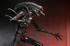 Alien: Romulus Ultimate Xenomorph XX121-8