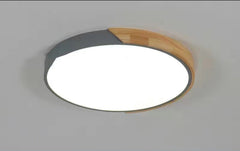 Creative Light Modern Minimalist Ceiling Lamp-11