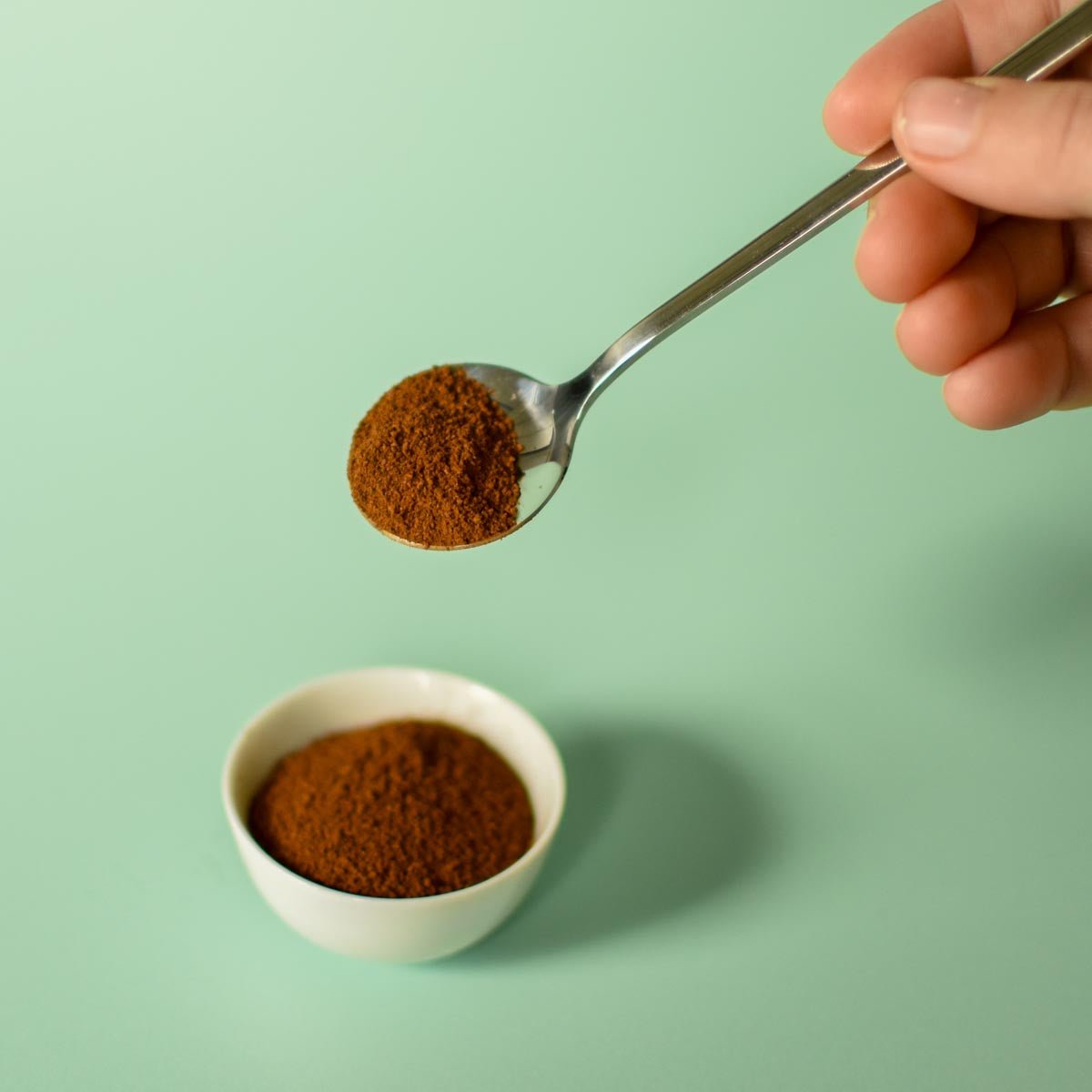 Chaga | Ground Mushroom (Inonotus obliquus)-2