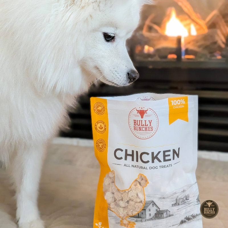 Freeze Dried Chicken 100g / 3.5oz-5