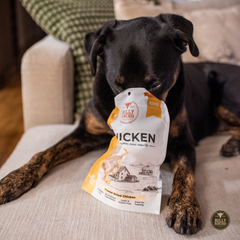 Freeze Dried Chicken 100g / 3.5oz-2