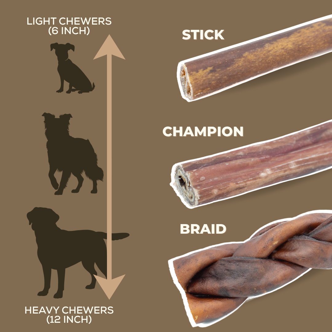 5-6 Inch Braided Collagen Stick-4