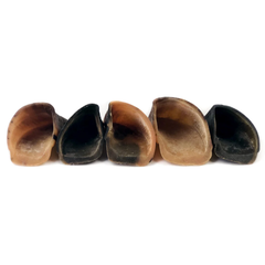 Cow Hooves-5