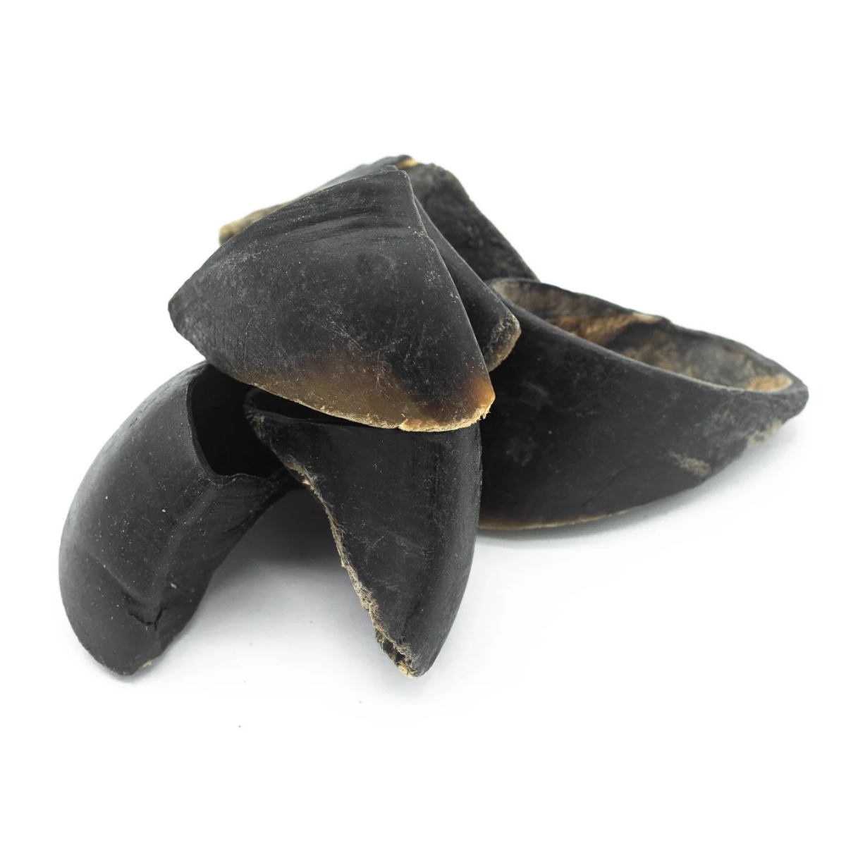 Cow Hooves-7