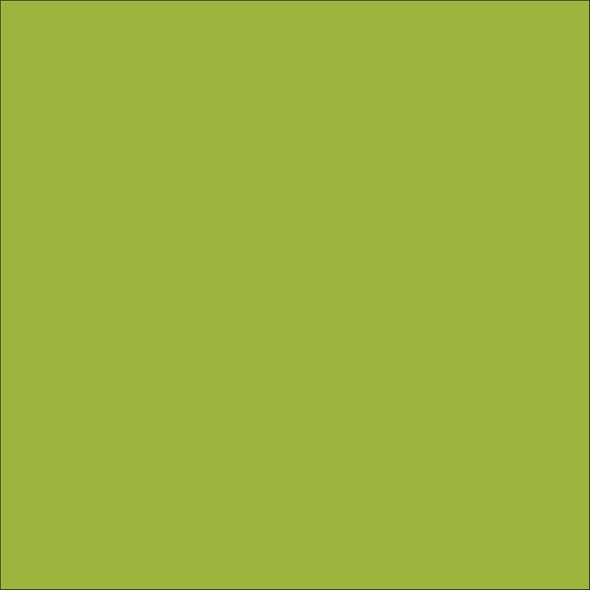 Craft Lime HTV Vinyl 12" x 4.5" sheets-1