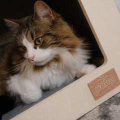 The Urban Hut Pet House-4