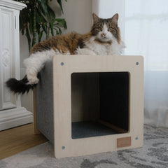 The Urban Hut Pet House-1