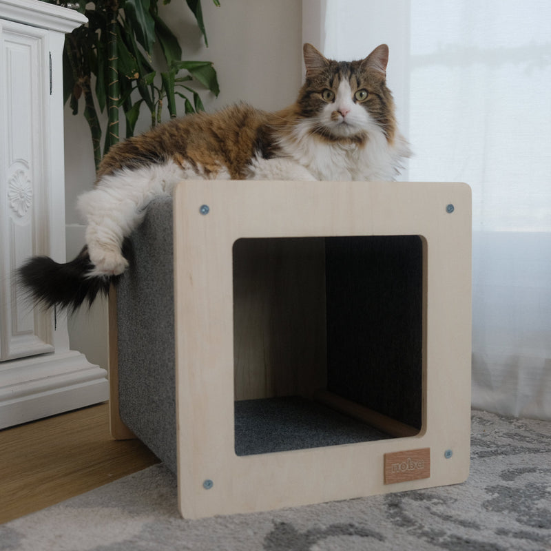 The Urban Hut Pet House-1