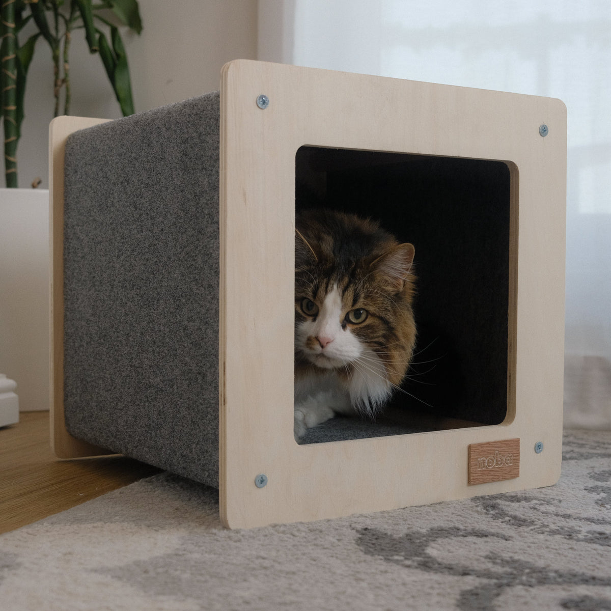 The Urban Hut Pet House-2