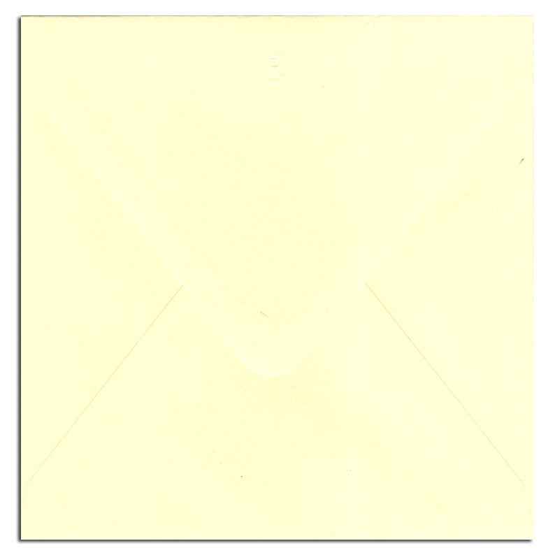 Envelopes 5x5 20 pack-6
