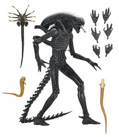 Alien: Romulus Ultimate Xenomorph XX121-2