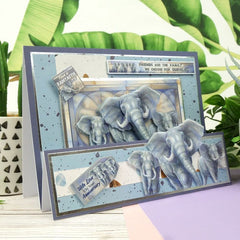 Animal Kingdom Decoupage Book-2