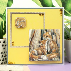 Animal Kingdom Decoupage Book-11