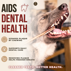 12 Inch Jumbo Braided Bully Stick-9