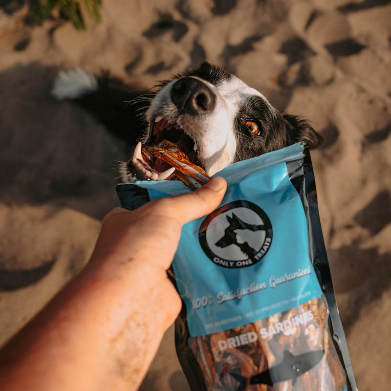 Dried Sardines 340g-5