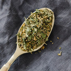Organic Echinacea + Elderflower tea-2