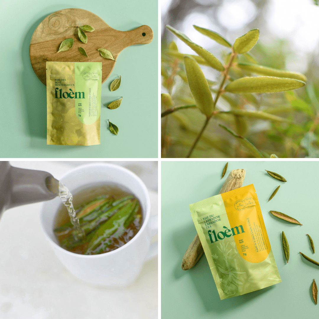 Herbal Tea Complete Set - Variety Pack-4