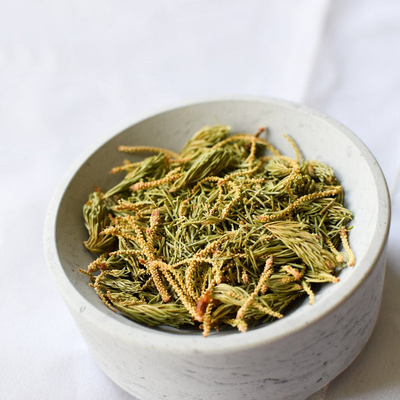 Black Spruce | Dried Whole Tips (Picea mariana)-4