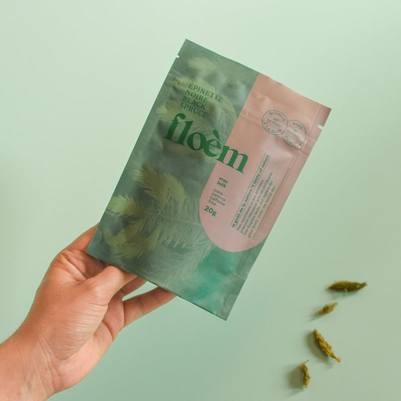 Black Spruce | Dried Whole Tips (Picea mariana)-2