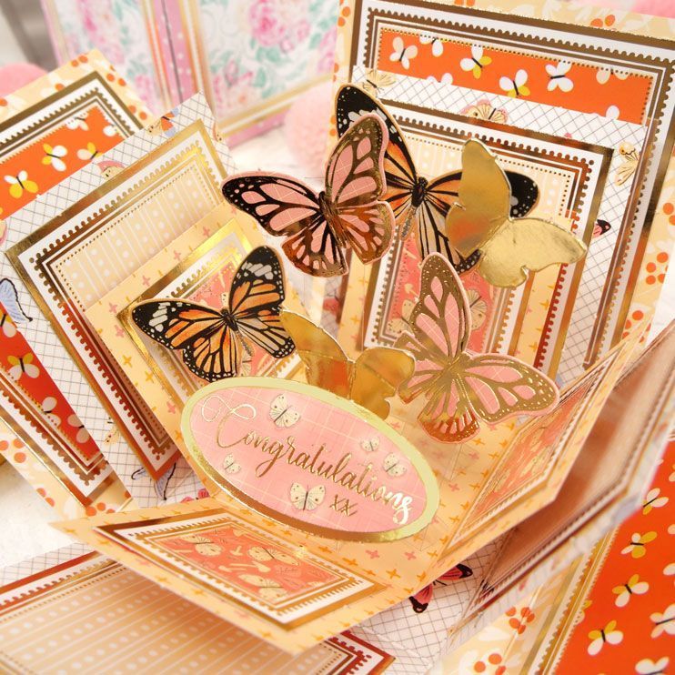 Exploding Boxes Project Kit - Butterfly Box-3