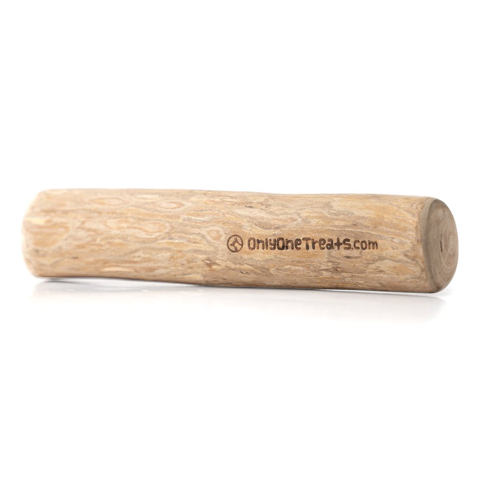 Extra-Large Coffee Wood Chew-1