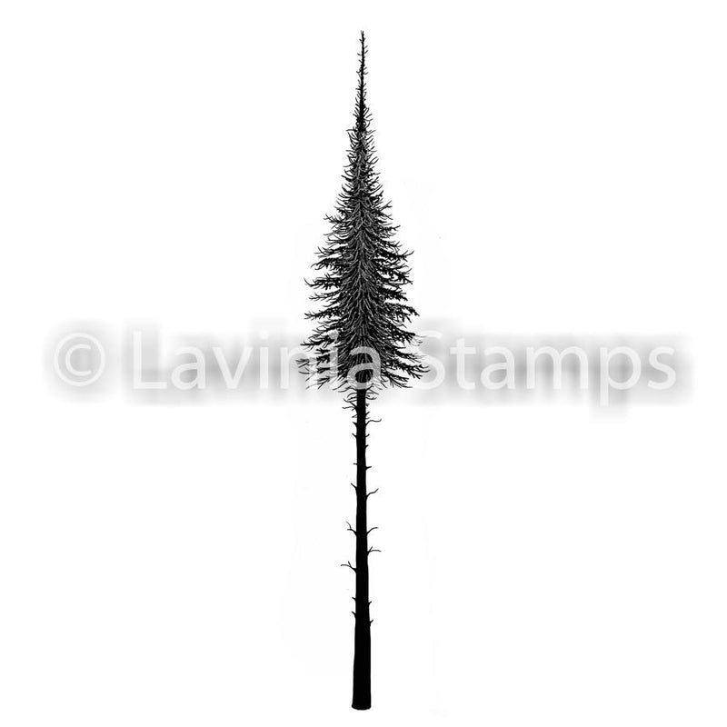 Lavinia Stamps - Fairy Fir Tree-1