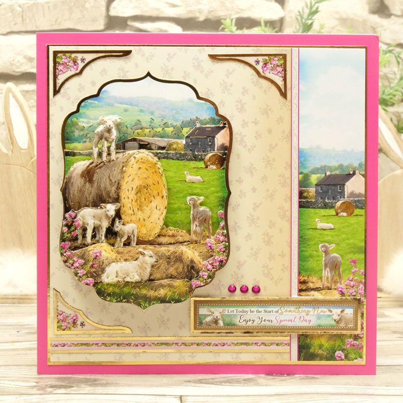 Meadow Farm Deco-Large - Play Time-5