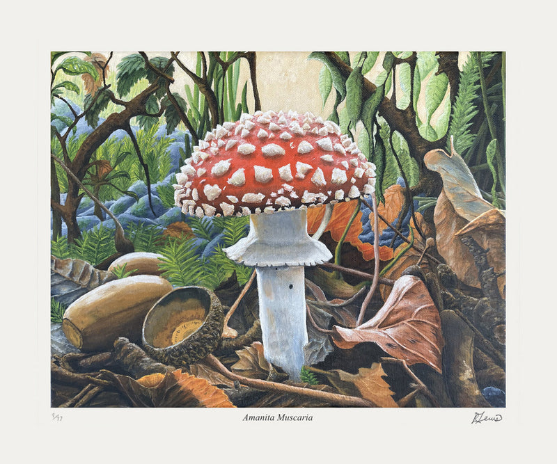 Amanita Muscaria - Art Print /77 by Ryan Lewis, Artist Proof-1