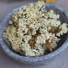 Labrador Tea | Dried Whole Flower (Rhododendron groenlandicum)-2