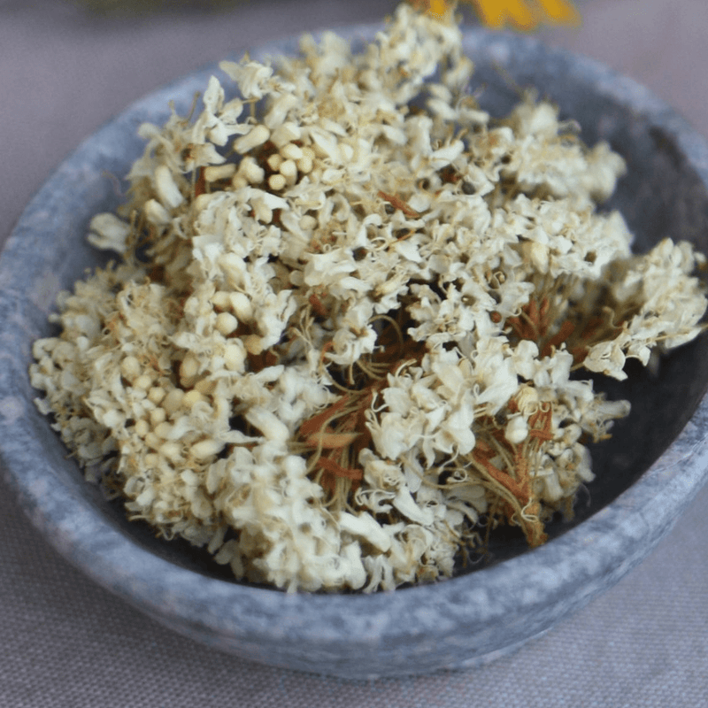 Labrador Tea | Dried Whole Flower (Rhododendron groenlandicum)-2