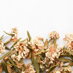 Labrador Tea | Dried Whole Flower (Rhododendron groenlandicum)-1