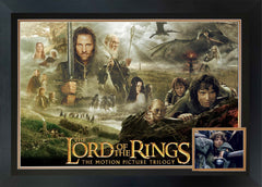 Elijah Wood Signed The Lord of the Rings Autographed Display-1