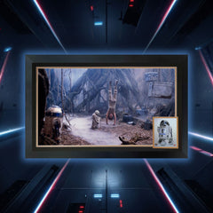 Star Wars R2-D2 & Yoda Dagobah Autographed Framed Display-3