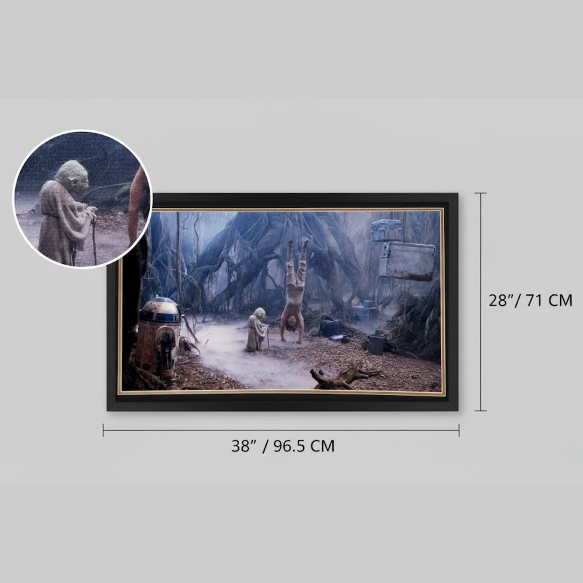 Star Wars R2-D2 & Yoda Dagobah Autographed Framed Display-5