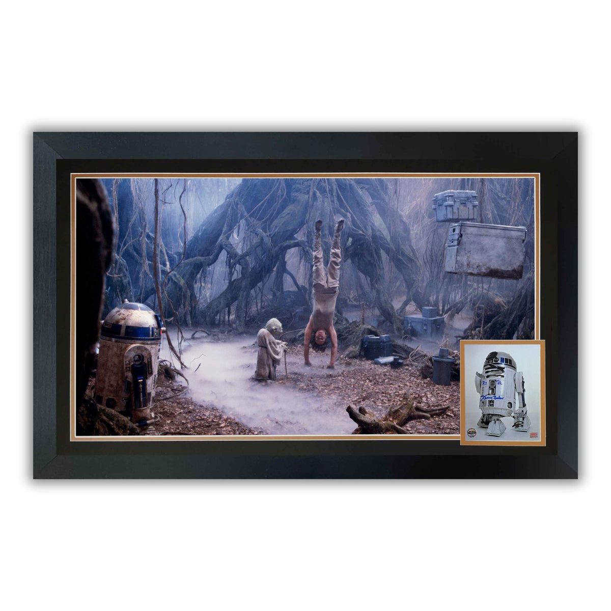 Star Wars R2-D2 & Yoda Dagobah Autographed Framed Display
