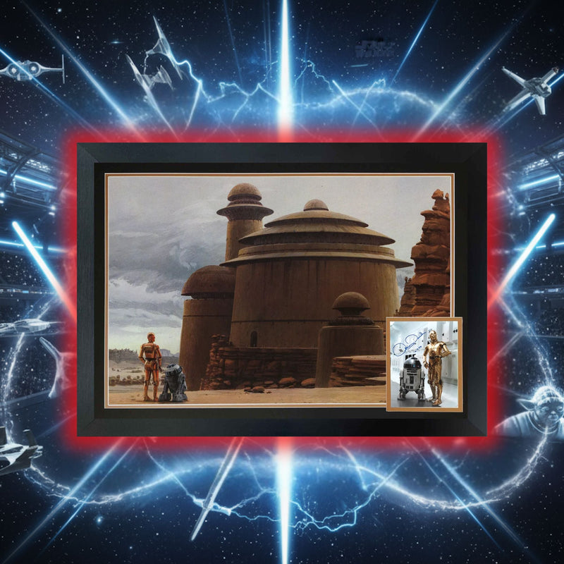 Anthony Daniels Signed Star Wars C-3PO & R2-D2 Framed Photo-4