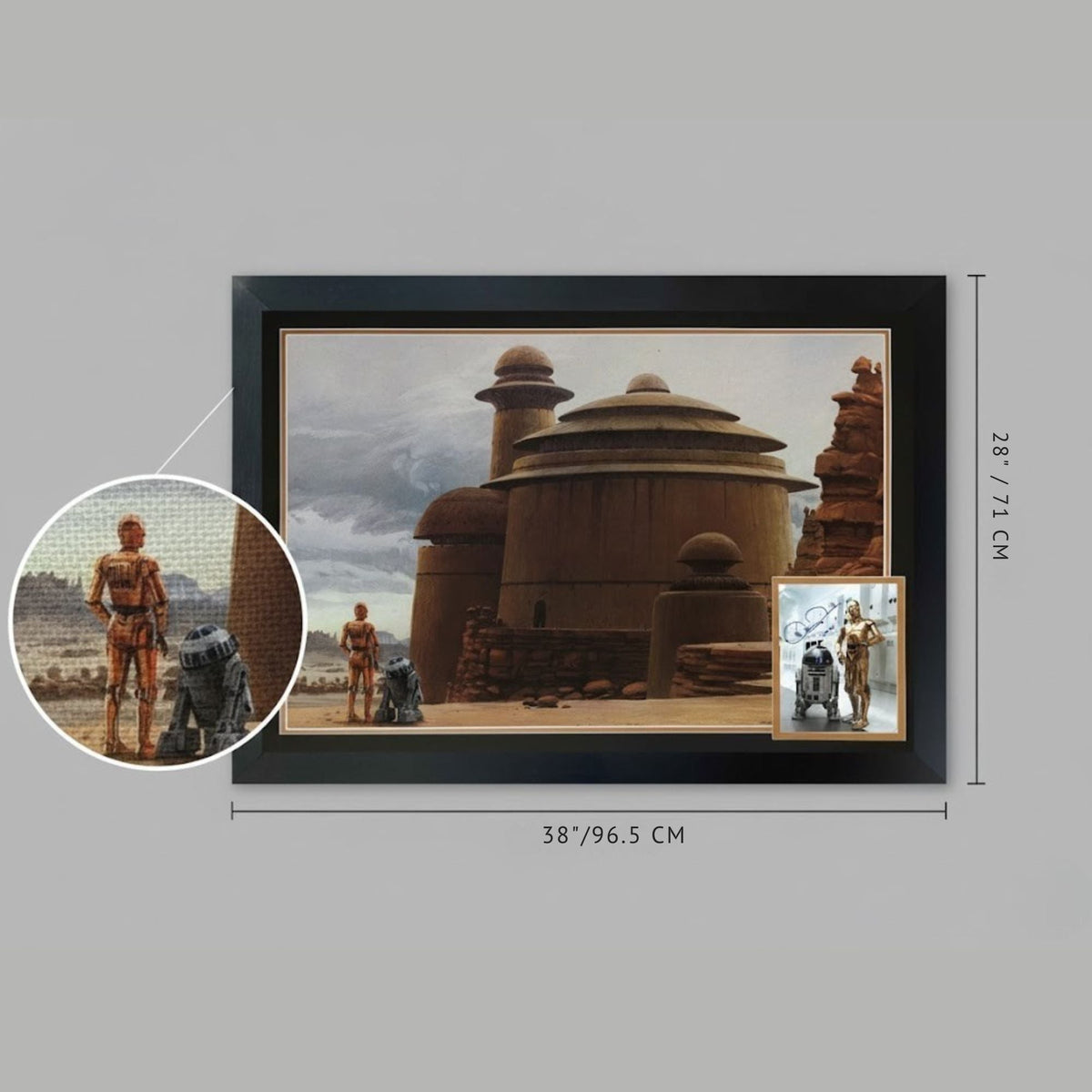 Anthony Daniels Signed Star Wars C-3PO & R2-D2 Framed Photo-5
