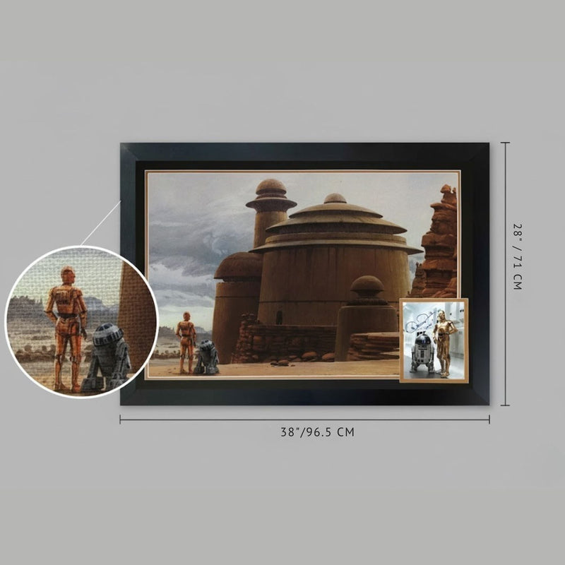 Anthony Daniels Signed Star Wars C-3PO & R2-D2 Framed Photo-5
