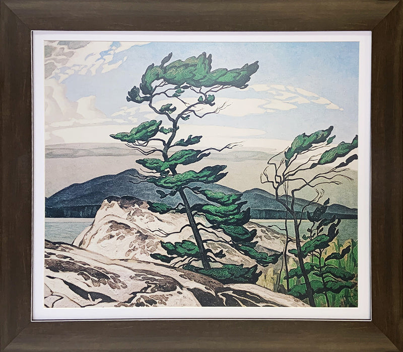 A.J. Casson Group of Seven “White Pine” Framed Print (28x24)-1